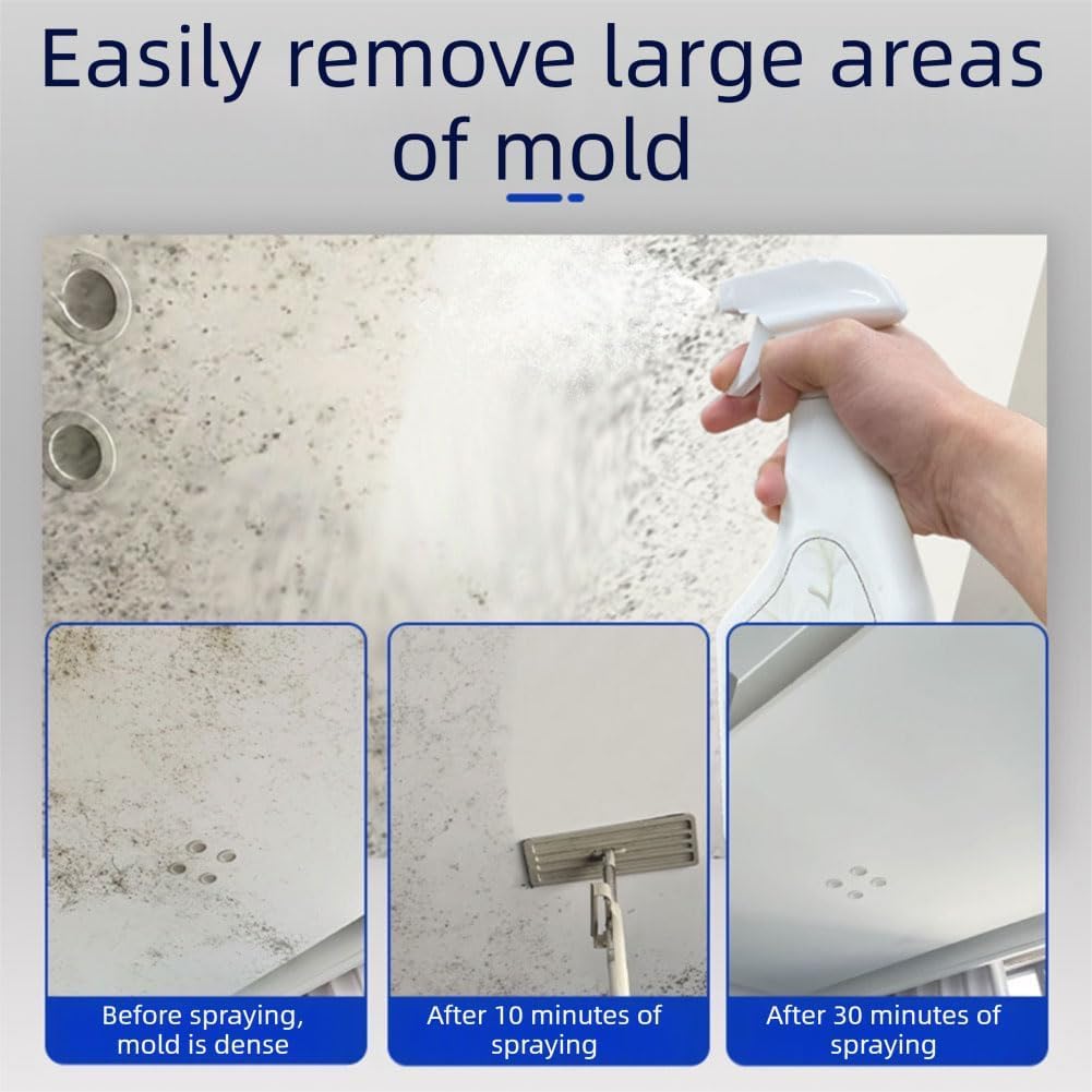 Anti-Mould Spray Interior Wall, Powerful Anti-Mould Spray for Home and Kitchen