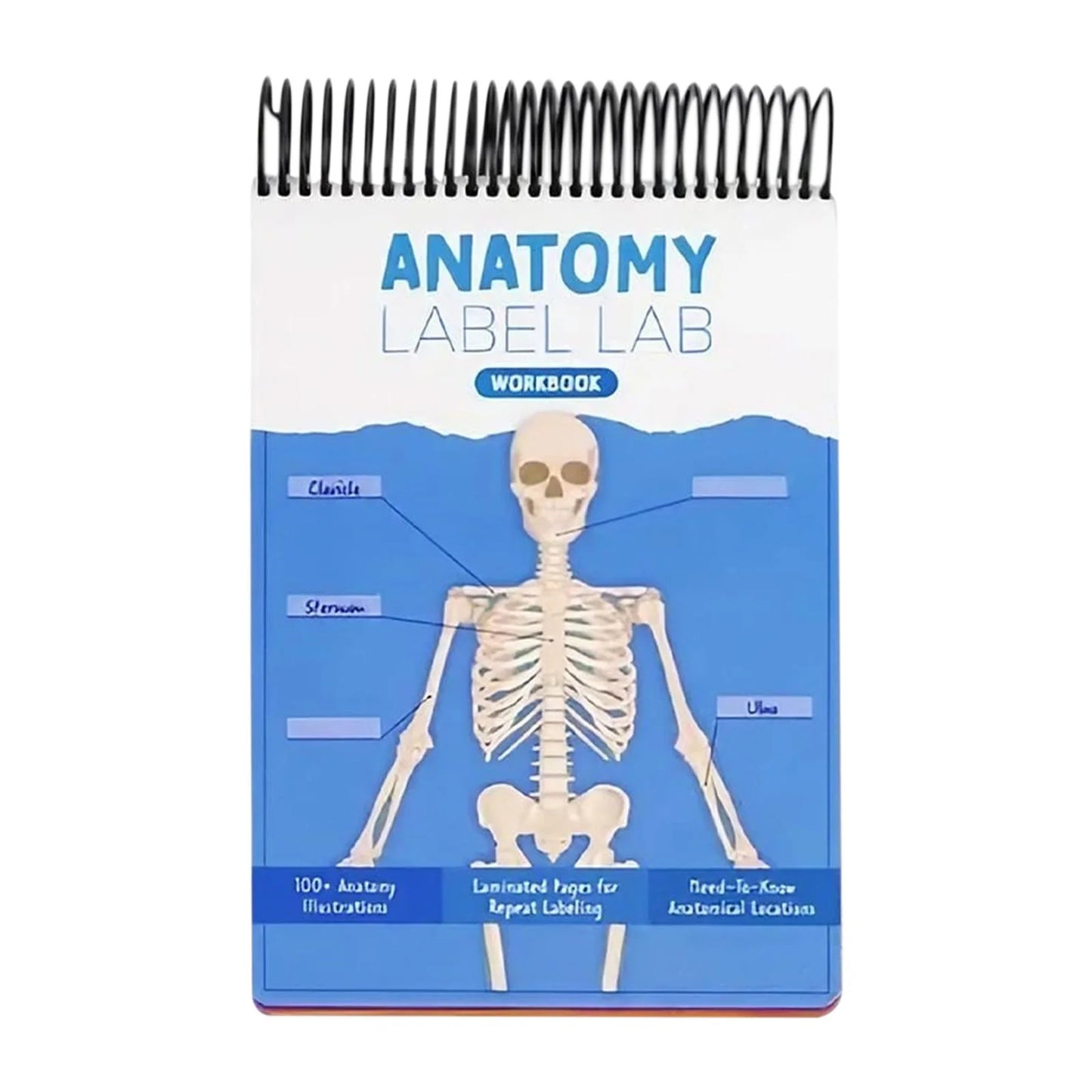 Anatomy Label Lab Workbook - 100+ Full-Color Dry-Erase Pages