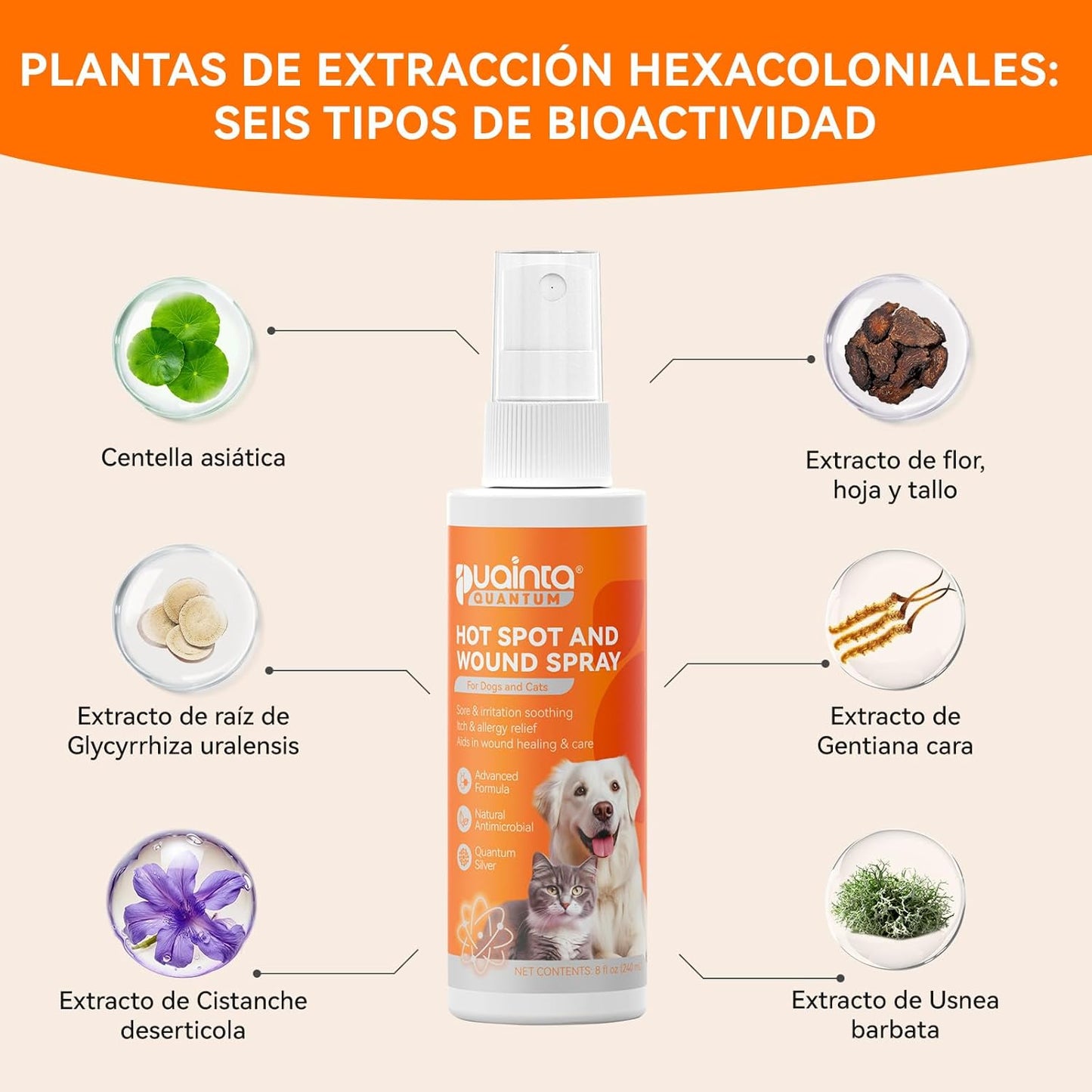 Upgraded Quantum Silver Skin Spray for Pets, Itch Relief and Hot Spot Treatment, Supports Skin Infections and Irritations for All Animals