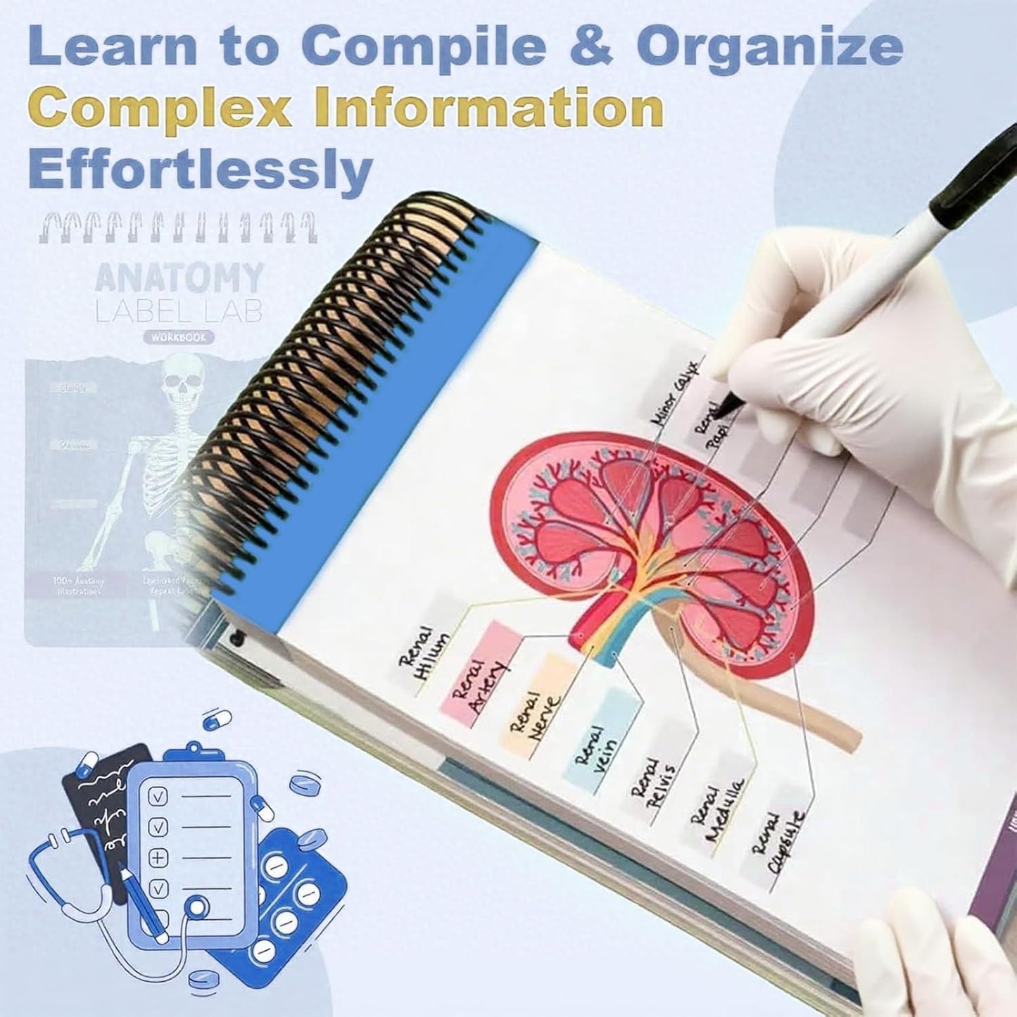 Anatomy Label Lab Workbook - 100+ Full-Color Dry-Erase Pages