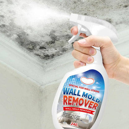 Anti-Mould Spray Interior Wall, Powerful Anti-Mould Spray for Home and Kitchen