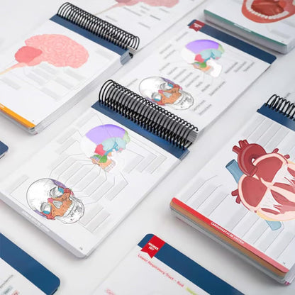 Anatomy Label Lab Workbook - 100+ Full-Color Dry-Erase Pages