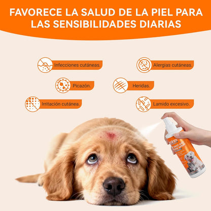 Upgraded Quantum Silver Skin Spray for Pets, Itch Relief and Hot Spot Treatment, Supports Skin Infections and Irritations for All Animals