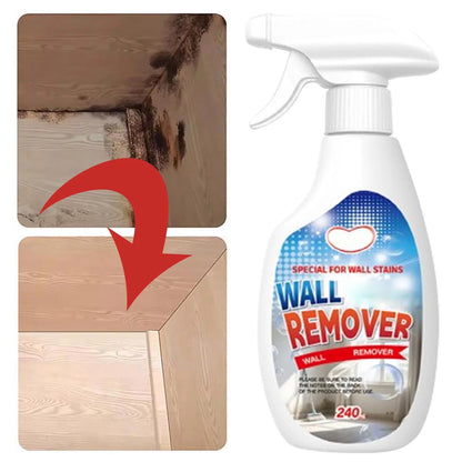 Anti-Mould Spray Interior Wall, Powerful Anti-Mould Spray for Home and Kitchen